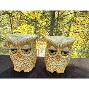 Adorable Vintage Double Sided Sleepy Owl Salt And Pepper Shakers